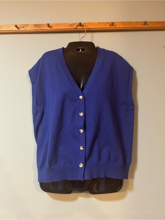 Sweaters - Classic V-Neck Button Front Sweater Vest - Blue